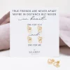 Friendship Earring Set For 2 Interlinked Hearts Earrings Set